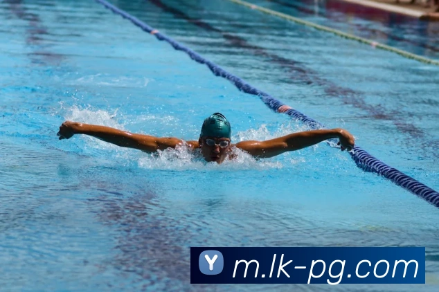 App Interface Preview